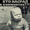 Аватар пользователя